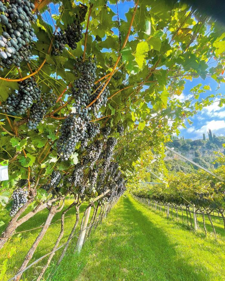 Appartamento Lucia Torbole Sul Garda Luaran gambar